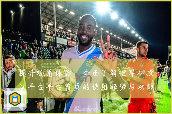 提升观看体验，全面了解世界杯投注平台平台首页的使用趋势与功能指南