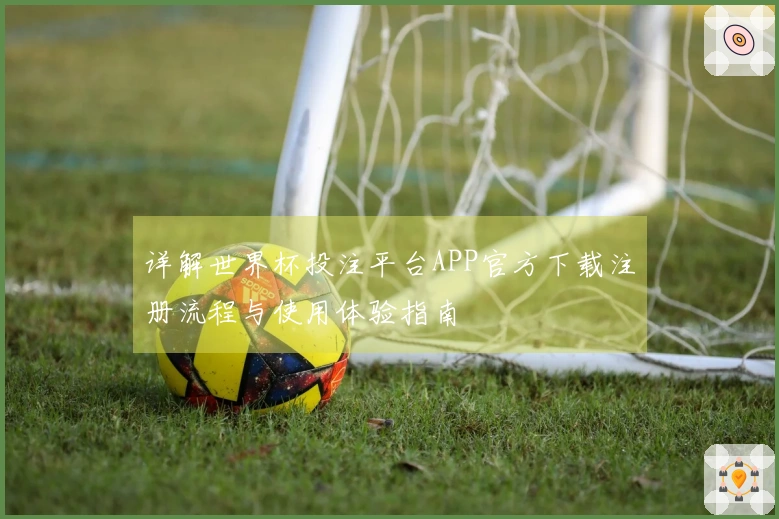 详解世界杯投注平台APP官方下载注册流程与使用体验指南