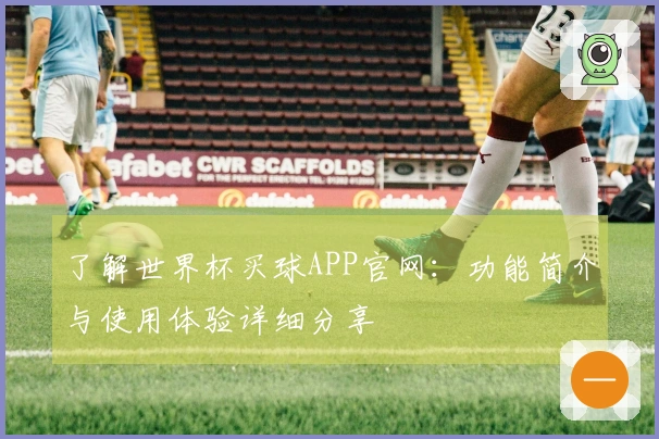 了解世界杯买球APP官网：功能简介与使用体验详细分享
