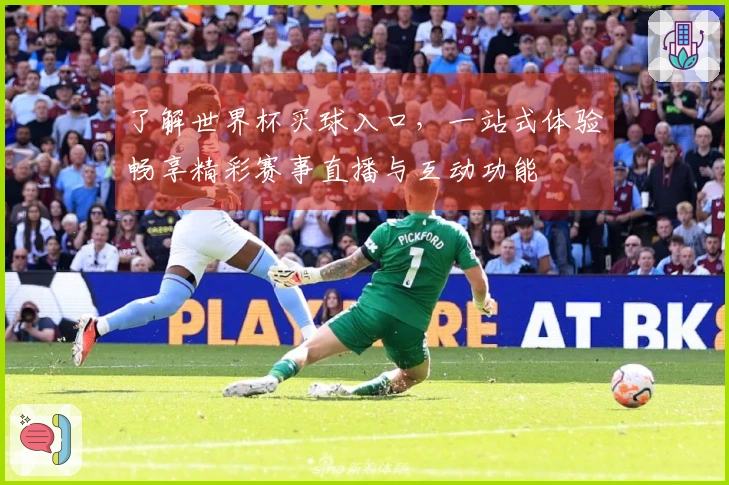 了解世界杯买球入口，一站式体验畅享精彩赛事直播与互动功能