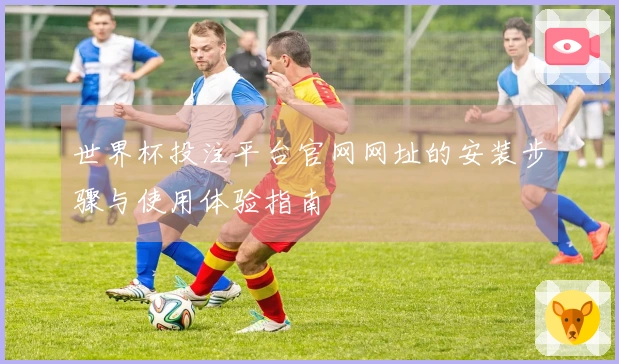 世界杯投注平台官网网址的安装步骤与使用体验指南