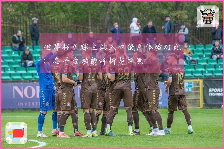 世界杯买球主站入口使用体验对比：各平台功能详析与评测