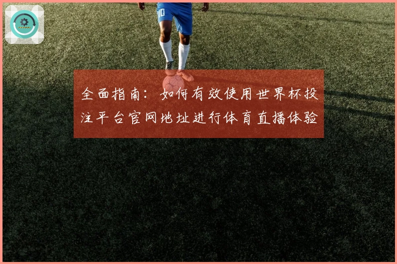 全面指南：如何有效使用世界杯投注平台官网地址进行体育直播体验