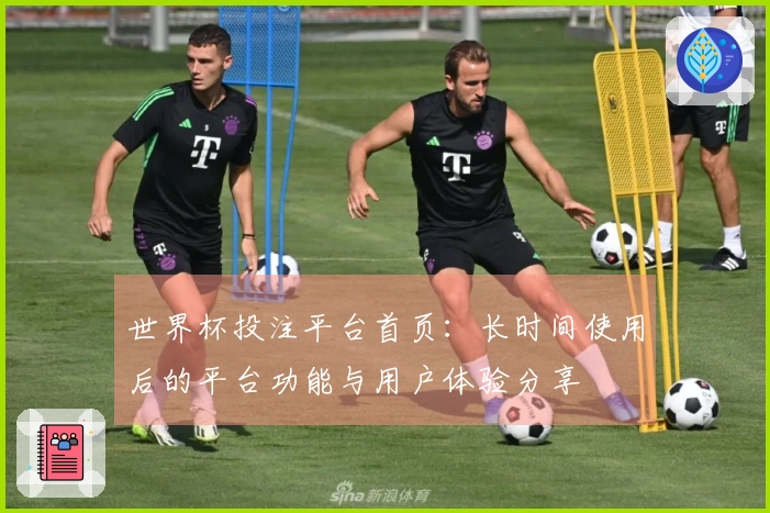 世界杯投注平台首页：长时间使用后的平台功能与用户体验分享