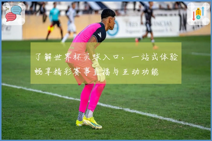 了解世界杯买球入口，一站式体验畅享精彩赛事直播与互动功能