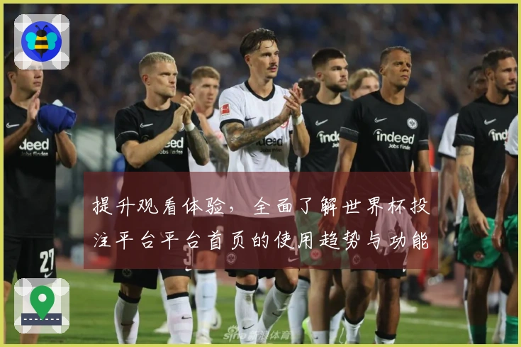 提升观看体验，全面了解世界杯投注平台平台首页的使用趋势与功能指南