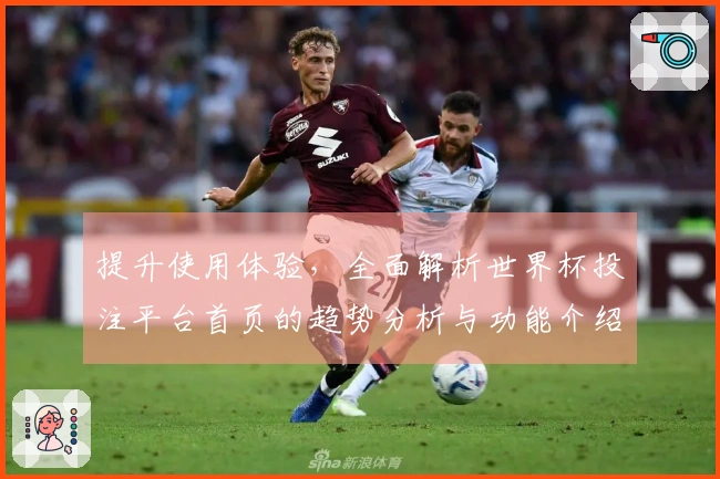 提升使用体验，全面解析世界杯投注平台首页的趋势分析与功能介绍