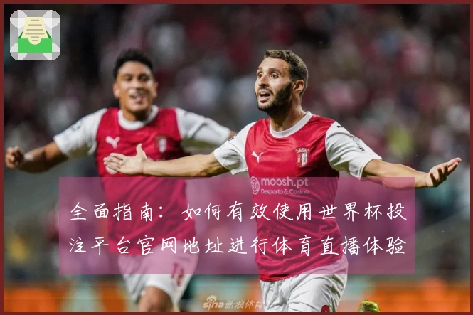 全面指南：如何有效使用世界杯投注平台官网地址进行体育直播体验