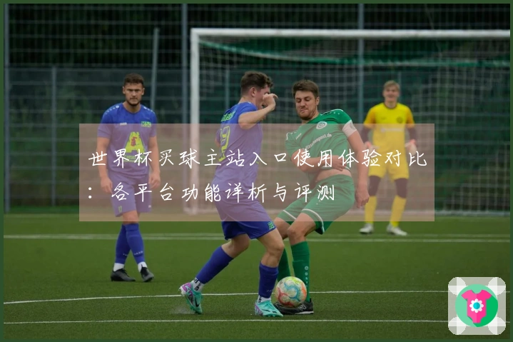 世界杯买球主站入口使用体验对比：各平台功能详析与评测