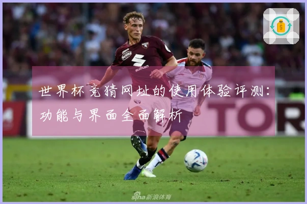 世界杯竞猜网址的使用体验评测：功能与界面全面解析
